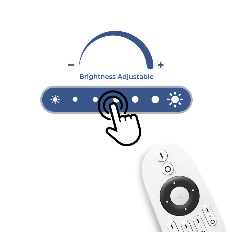 CCT- BRIGHT CCT- BRIGHT