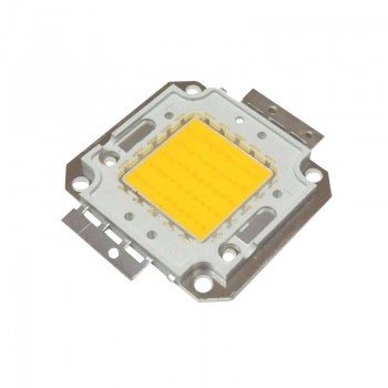 Chip COB 20W Chip COB 20W