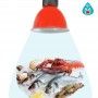 Campana LED 30W especial para pescaderías y marisquerías Campana LED 30W especial para pescaderías y marisquerías