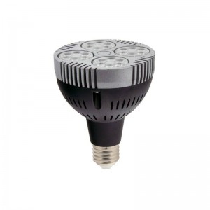 Bombilla LED PAR30 E27