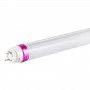 Tubo LED T8 especial Carnicerías 10W 600mm Tubo LED T8 especial Carnicerías 10W 600mm
