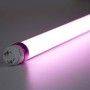 Tubo LED T8 especial Carnicerías 10W 600mm