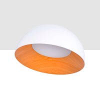 LÁMPARAS DE TECHO - Barcelona Led