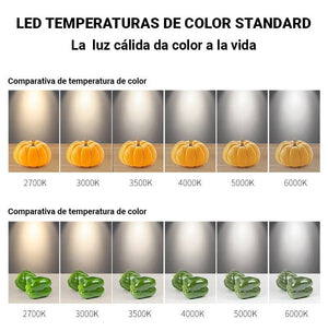 Aplique de pared LED "LOOK- 2" ​​18W CRI 90 (6)