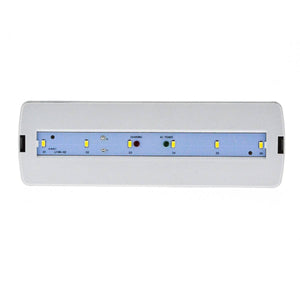 Luz de emergencia LED 3W - 250lm - 3 h de autonomía (3)