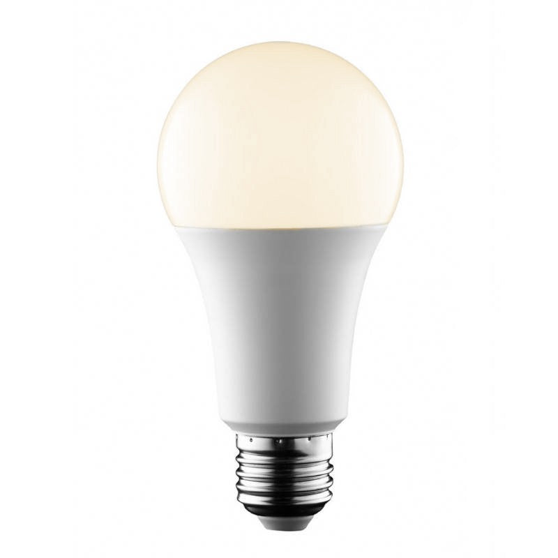 Bombilla LED E27 A65 - 14W - 1400 lm (5) & Bombilla LED E27 A65 - 14W - 1400 lm