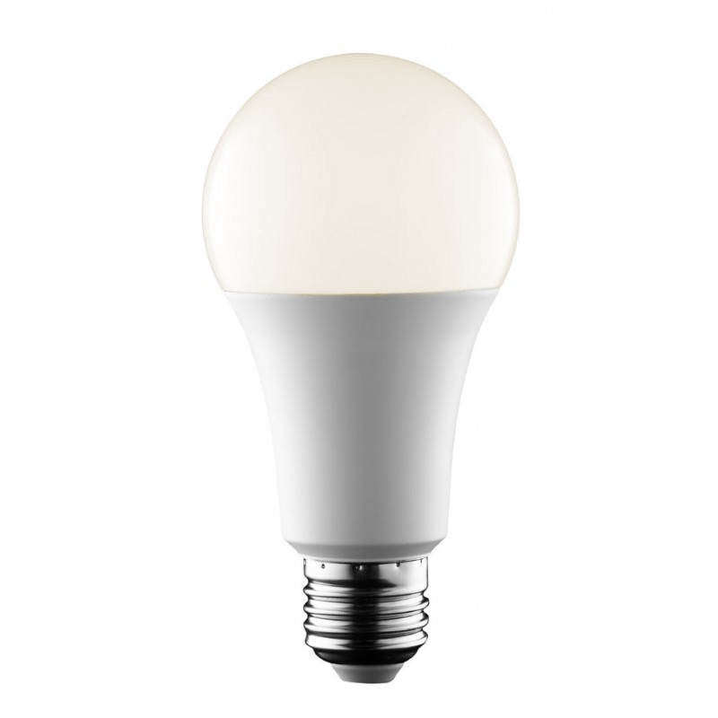 Bombilla LED E27 A65 - 14W - 1400 lm (6) & Bombilla LED E27 A65 - 14W - 1400 lm