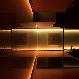 Tira LED 220V 75W (600xSMD2835) 12mm IP67 Rollo 5 metros (11)