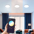 Plafón LED SMART - CCT conexión WIFI de superficie 24W - IP20 2