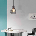 Vintage cage pendant lamp 