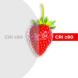 Bañador LED flexible RGB 24V DC - 5 metros - IP67 (7)