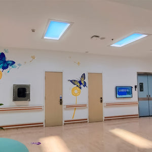 Panel LED "SMART Blue Skylight" - Efecto cielo - Daylight - 100W - 120x30cm (15)