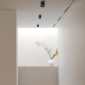 Aplique de techo policarbonato orientable - GU10 (11)