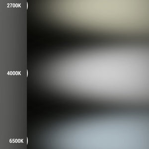 Bombilla LED E27 A60 - 11W - CCT - Fumagalli (1)