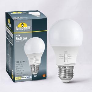 Bombilla LED E27 A60 - 11W - CCT - Fumagalli