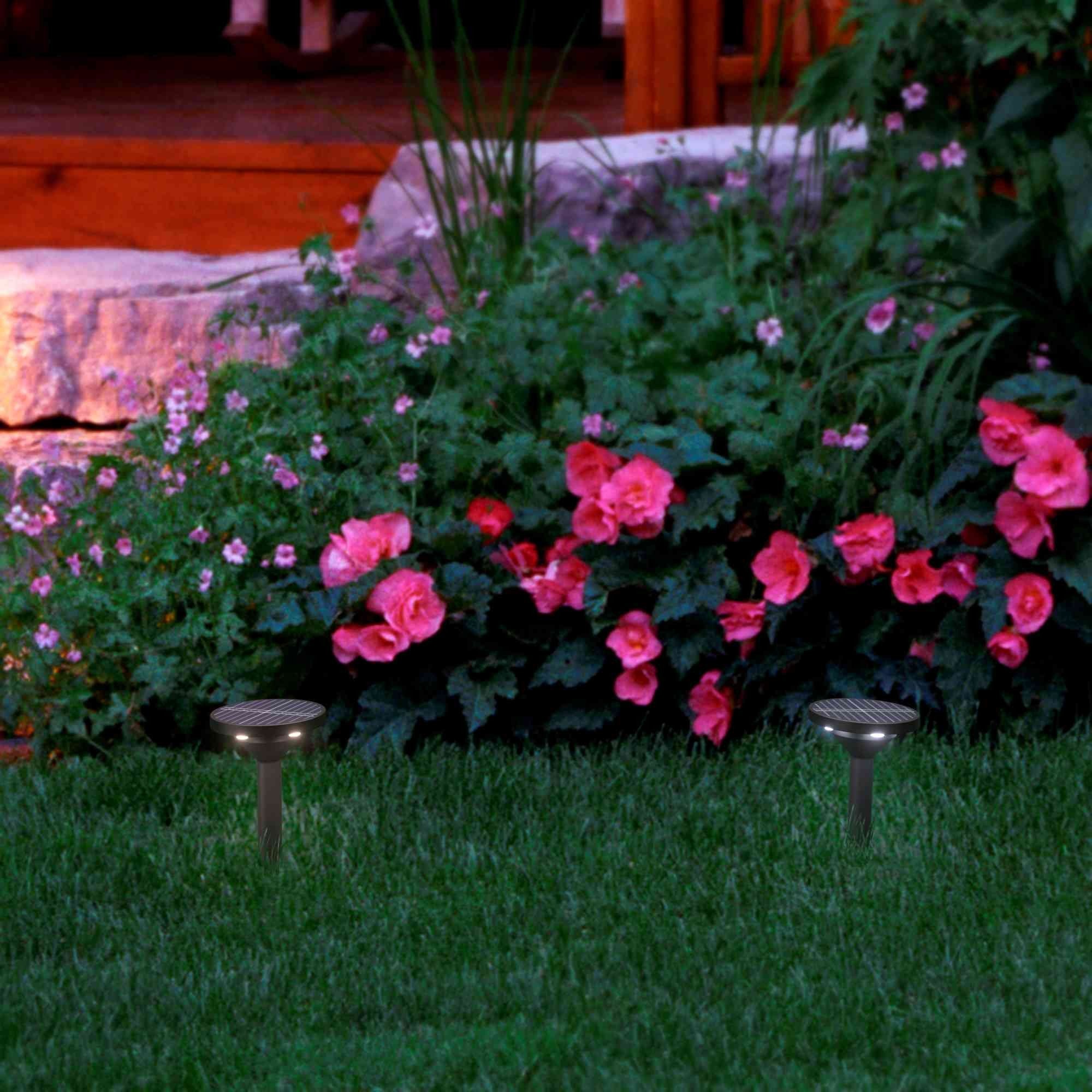 Foco solar exterior LED CCT con pincho - 1W - IP65 (14)