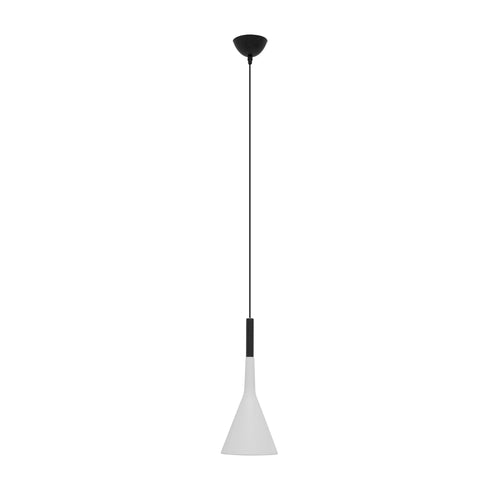 Modern pendant lamp 