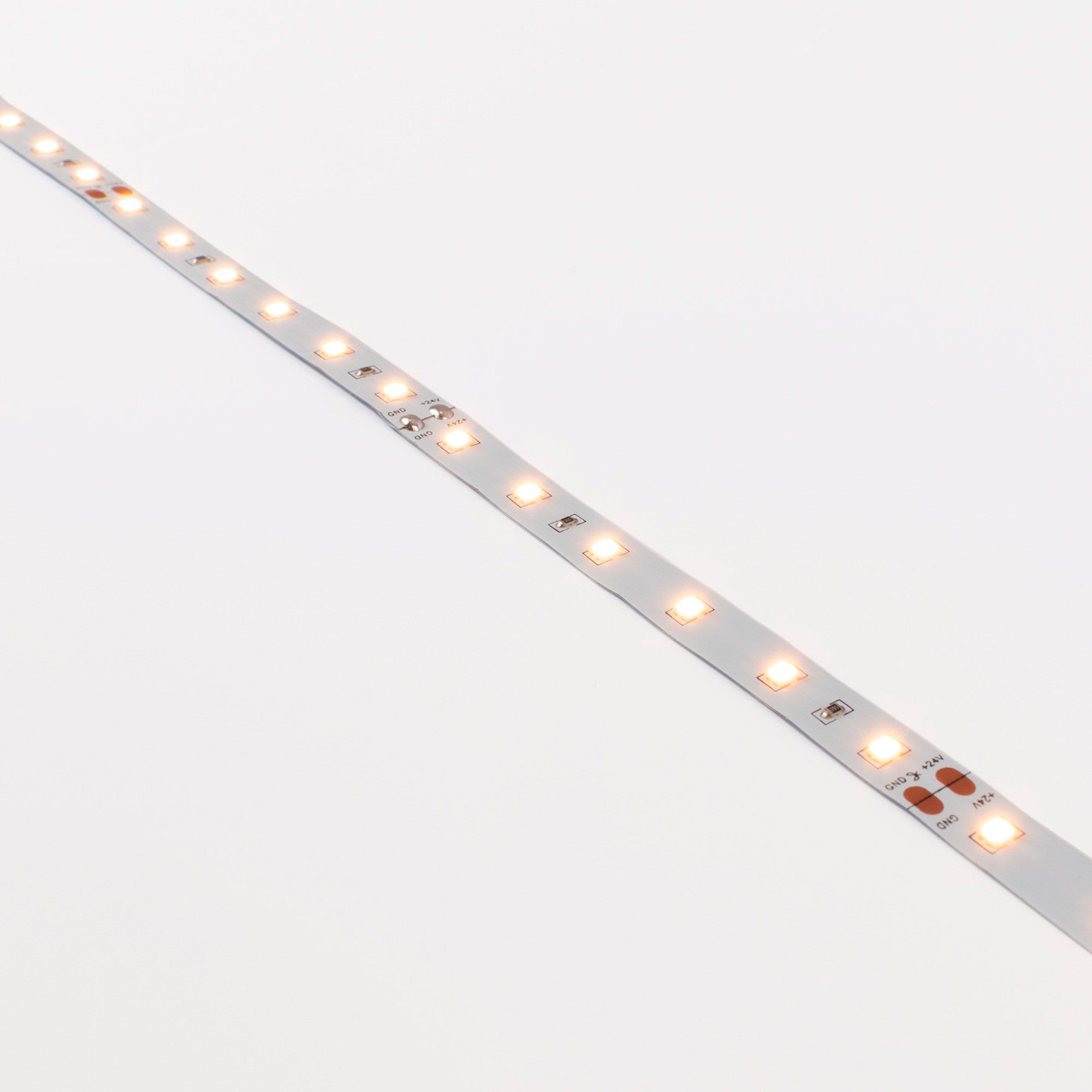 Tira LED 24V DC - 12W/m - Monocolor- 10mm - IP20 - 5 metros - SMD2835 60ch/m (3)