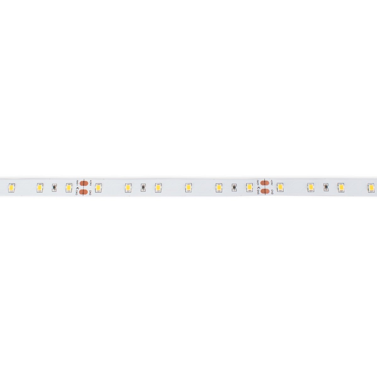 Tira LED 24V DC - 12W/m - Monocolor- 10mm - IP20 - 5 metros - SMD2835 60ch/m (7)