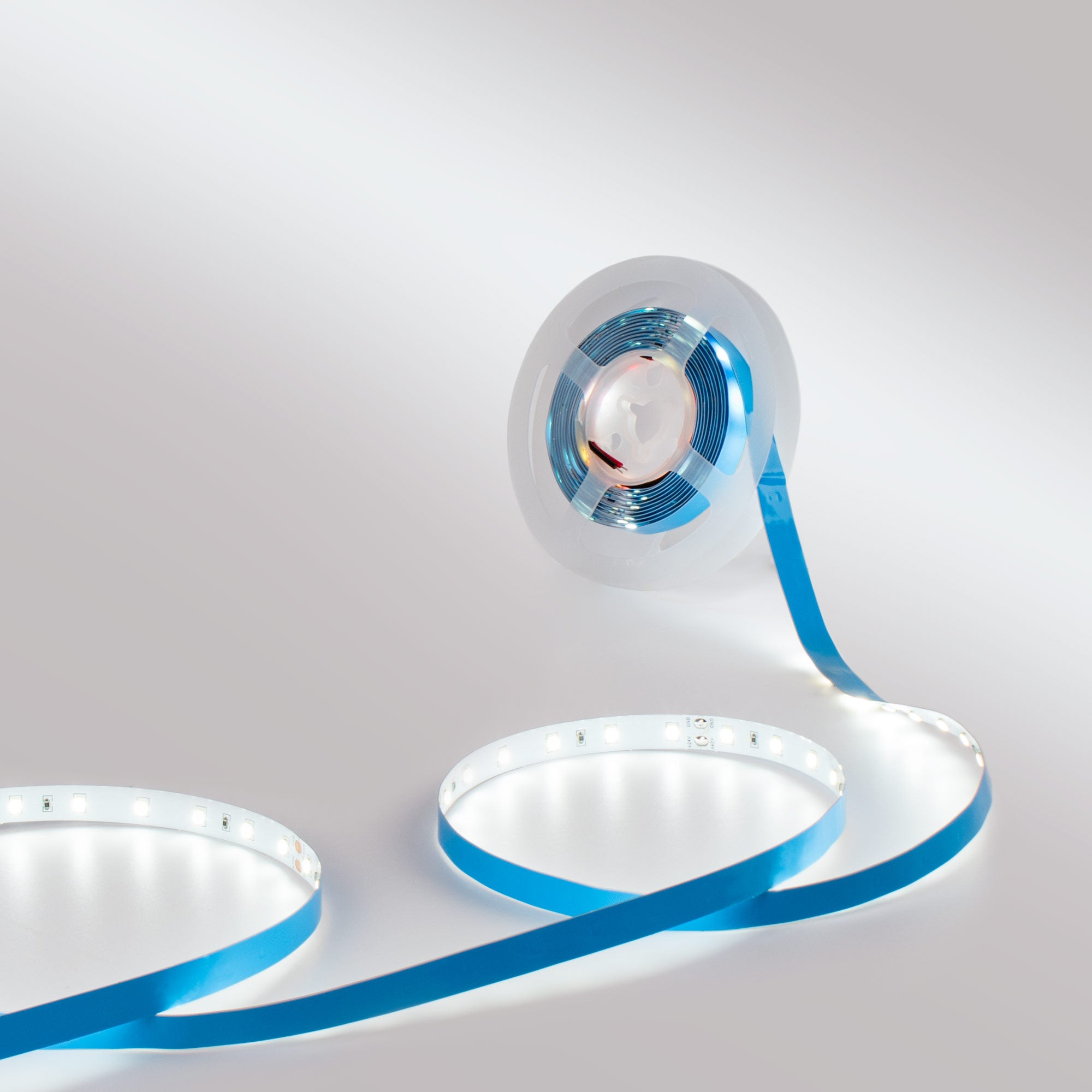 Tira LED 24V DC - 12W/m - Monocolor- 10mm - IP20 - 5 metros - SMD2835 60ch/m (8)