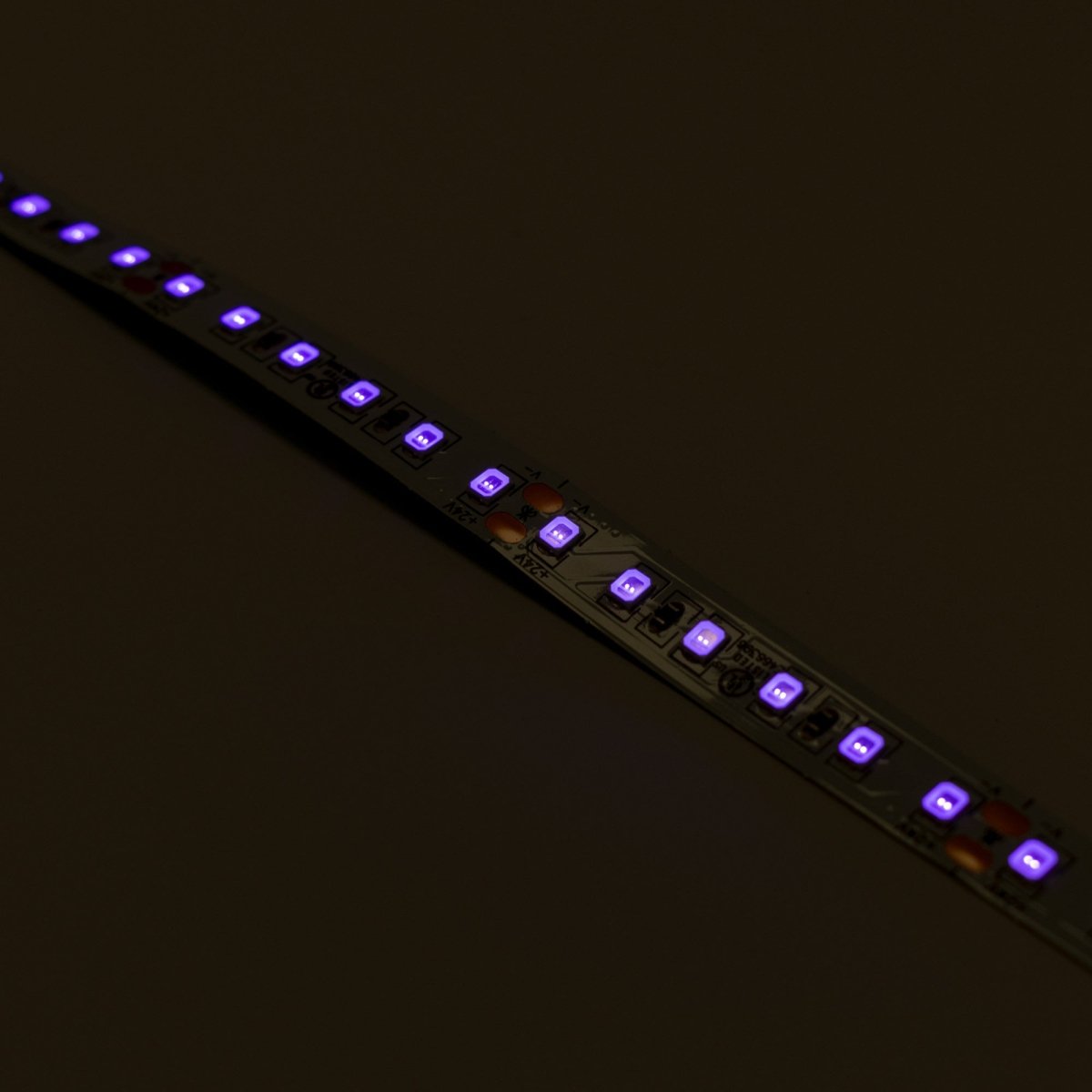 Tira LED 24V DC - 18W/m - Ultravioleta - 10mm - IP20 - 5 metros - SMD2835 120ch/m - Barcelona Led-