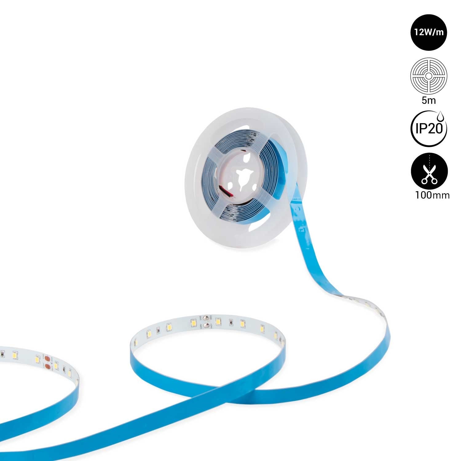 Tira LED 24V DC - 12W/m - Monocolor- 10mm - IP20 - 5 metros - SMD2835 60ch/m (12)