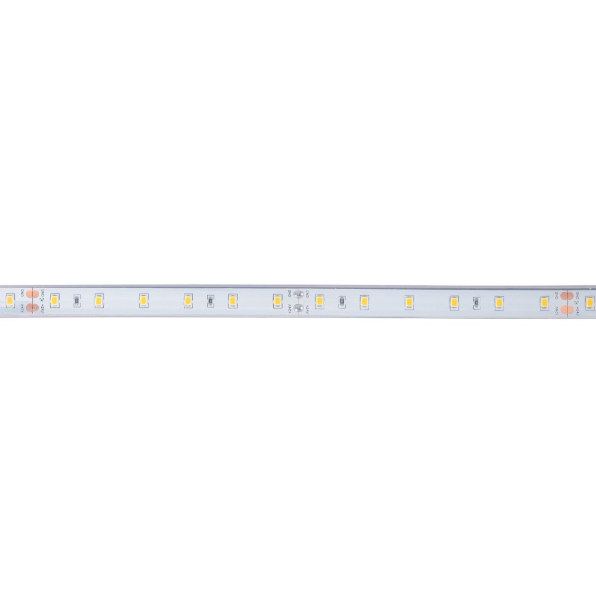Tira LED 24V DC - 12W/m - Monocolor- 12mm - IP67 - 5 metros - SMD2835 60ch/m - Barcelona Led-