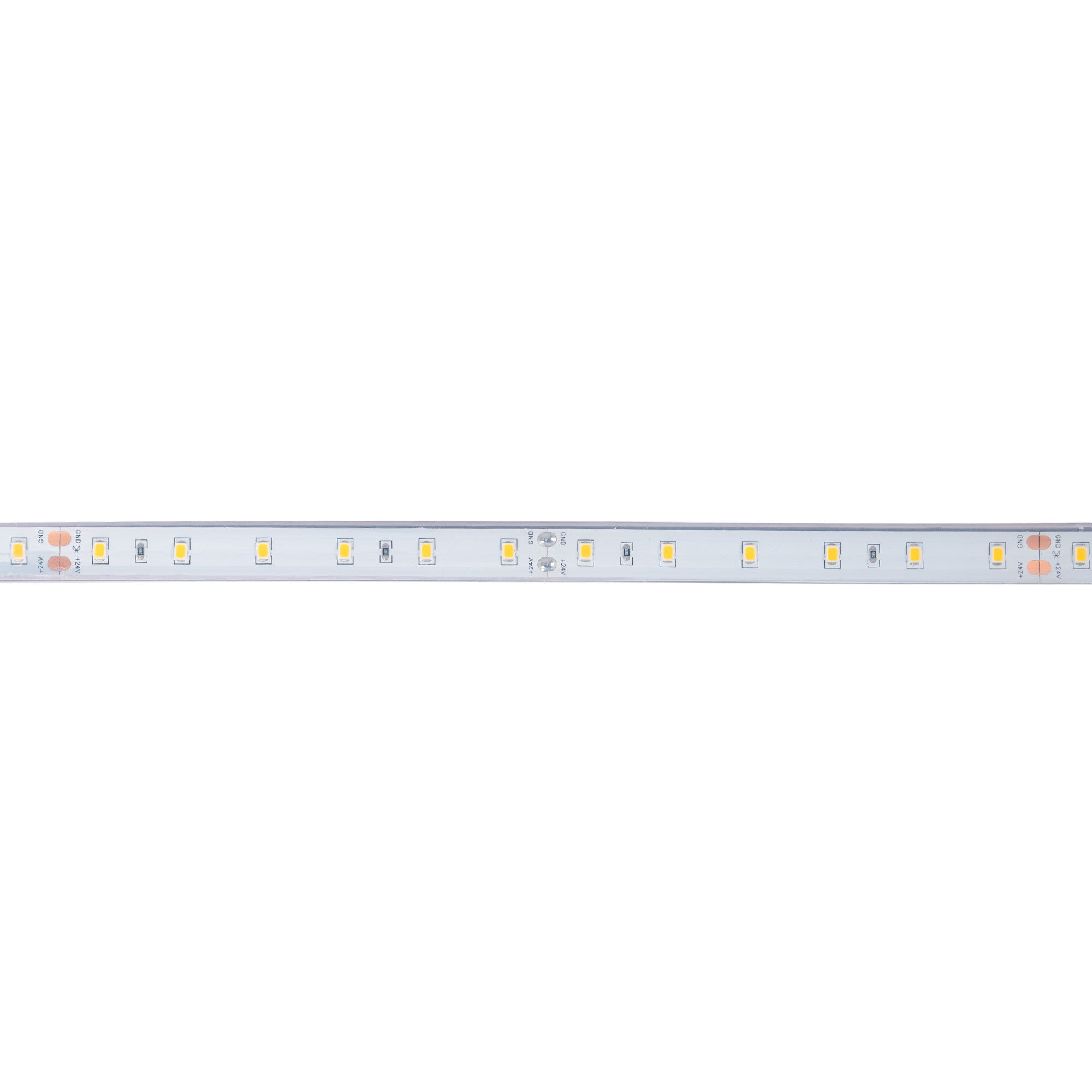 Tira LED 24V DC - 12W/m - Monocolor- 12mm - IP67 - 5 metros - SMD2835 60ch/m (3)