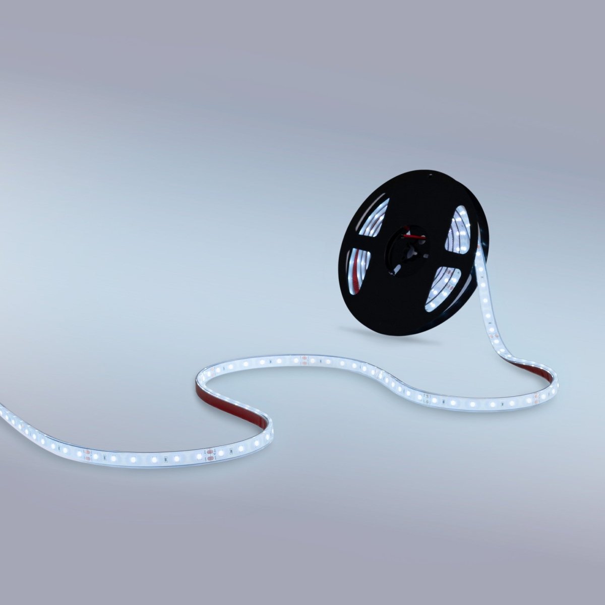 Tira LED 24V DC - 12W/m - Monocolor- 12mm - IP67 - 5 metros - SMD2835 60ch/m - Barcelona Led-