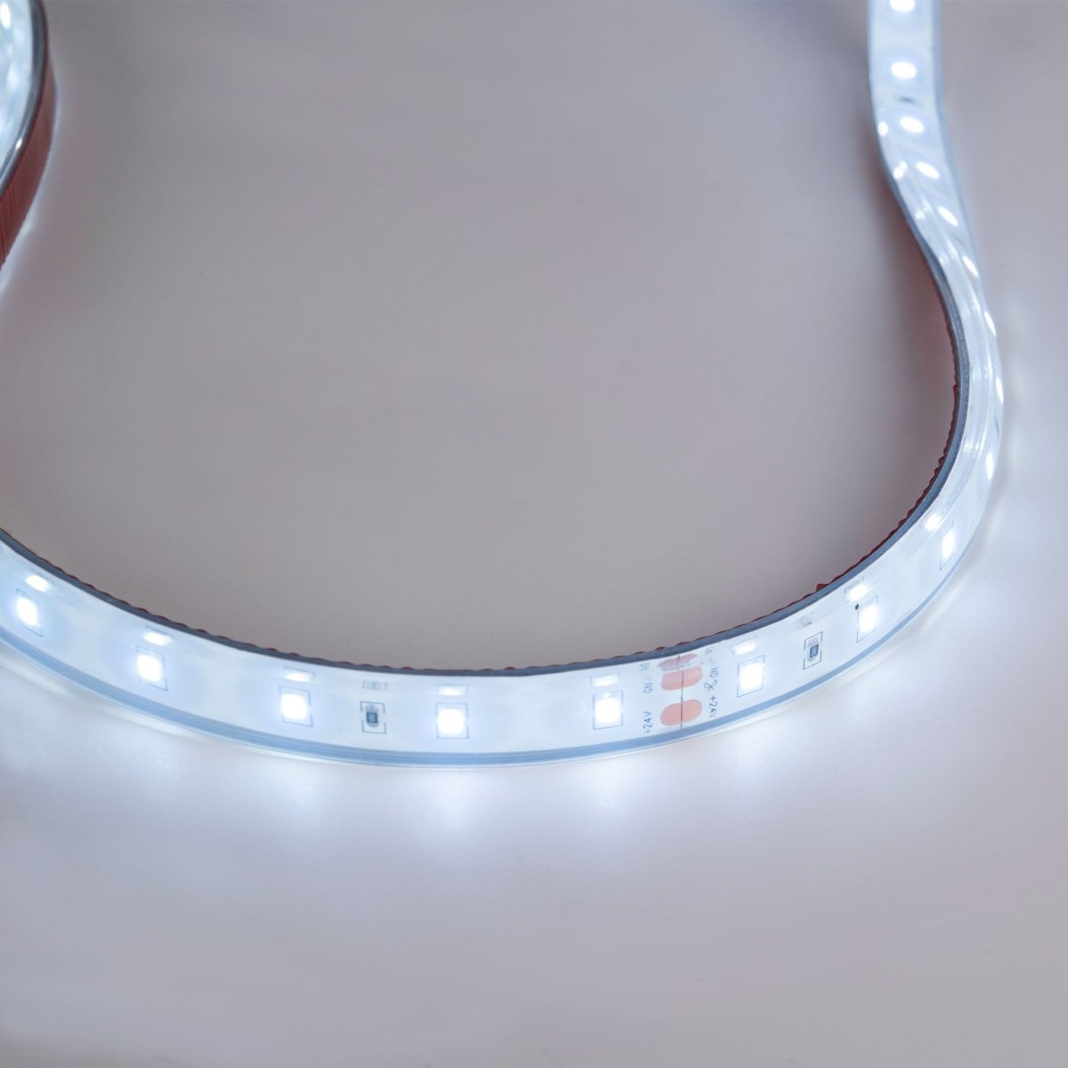 Tira LED 24V DC - 12W/m - Monocolor- 12mm - IP67 - 5 metros - SMD2835 60ch/m - Barcelona Led-