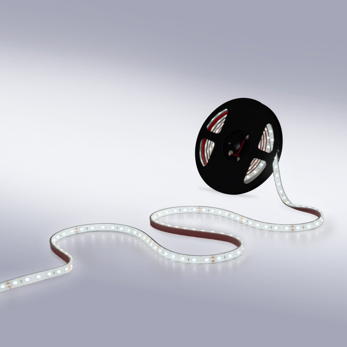 Tira LED 24V DC - 12W/m - Monocolor- 12mm - IP67 - 5 metros - SMD2835 60ch/m - Barcelona Led-
