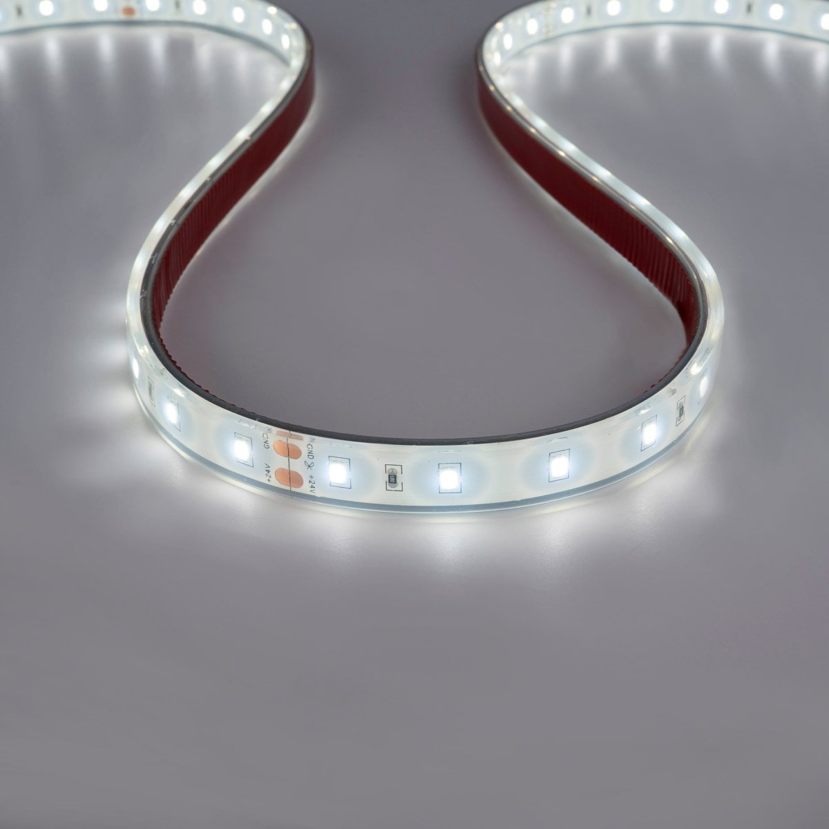 Tira LED 24V DC - 12W/m - Monocolor- 12mm - IP67 - 5 metros - SMD2835 60ch/m - Barcelona Led-