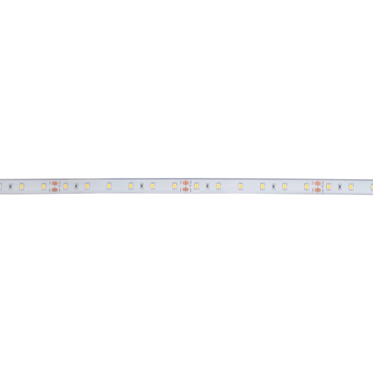 Tira LED 24V DC - 12W/m - Monocolor- 12mm - IP67 - 5 metros - SMD2835 60ch/m - Barcelona Led-