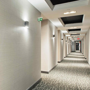 Luz de emergencia permanente con pictograma "Salida abajo" (1)