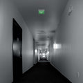 Hanging permanent emergency light with 