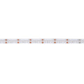 COB LED Strip 24V DC - RGBWW - 19W/m - 12mm - IP20 - Roll of 5 meters - Cut 33mm 5