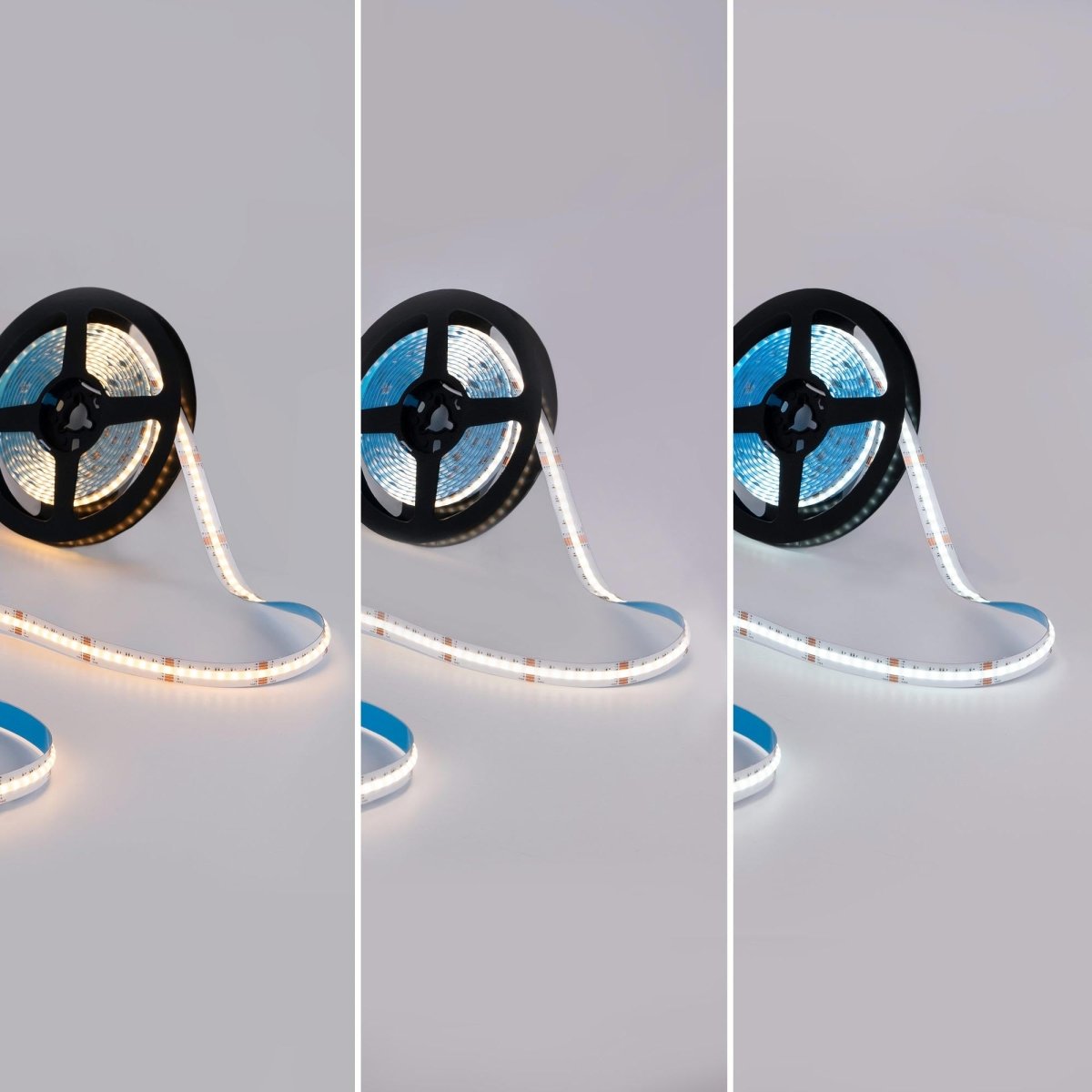 Tira LED COB 24V DC - RGB + CCT - 19W/m - 12mm - IP20 - Rollo de 5 metros - Barcelona Led-