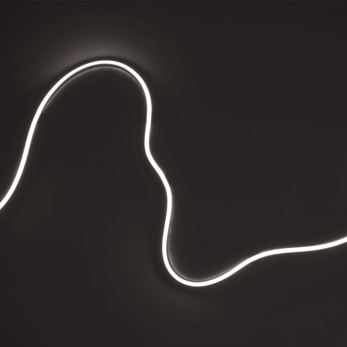Neón LED flexible monocolor 24V DC - 10x10mm - 5 metros - Kit completo - IP67 - 10W/m - Barcelona Led-