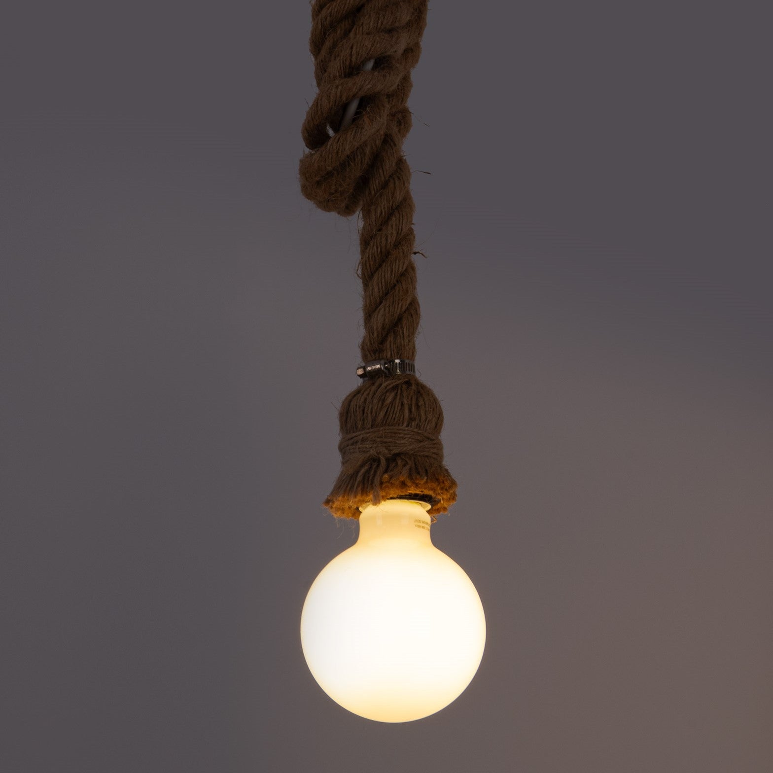Bombilla LED decorativa "Milky" - Regulable - E27 G95 - 6W - 3000K - 530lm (3)