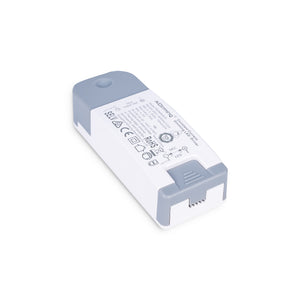 Driver regulable TRIAC 2-6V DC - 700mA - 4,2W (1)