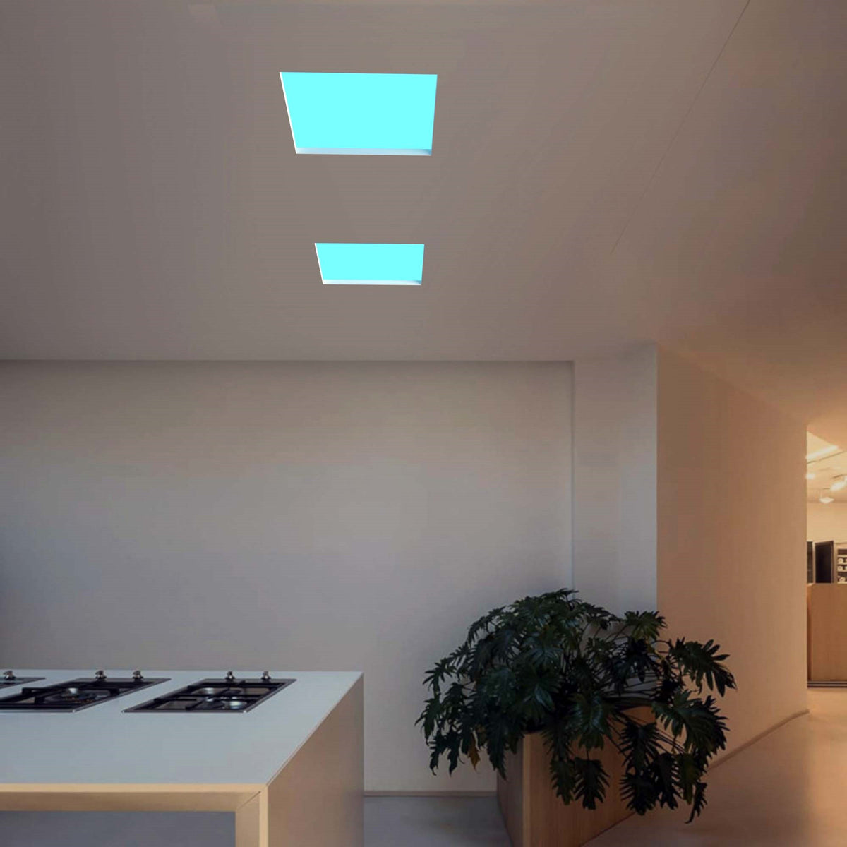 Panel "Blue Skylight" Regulable 0-10V - efecto cielo - Daylight  - 155W - 60x60cm (16)