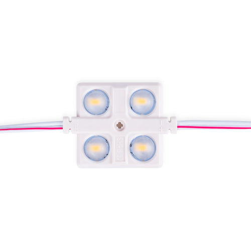 LED module for illuminated signs - 2W - 12V - IP65 - 160º
