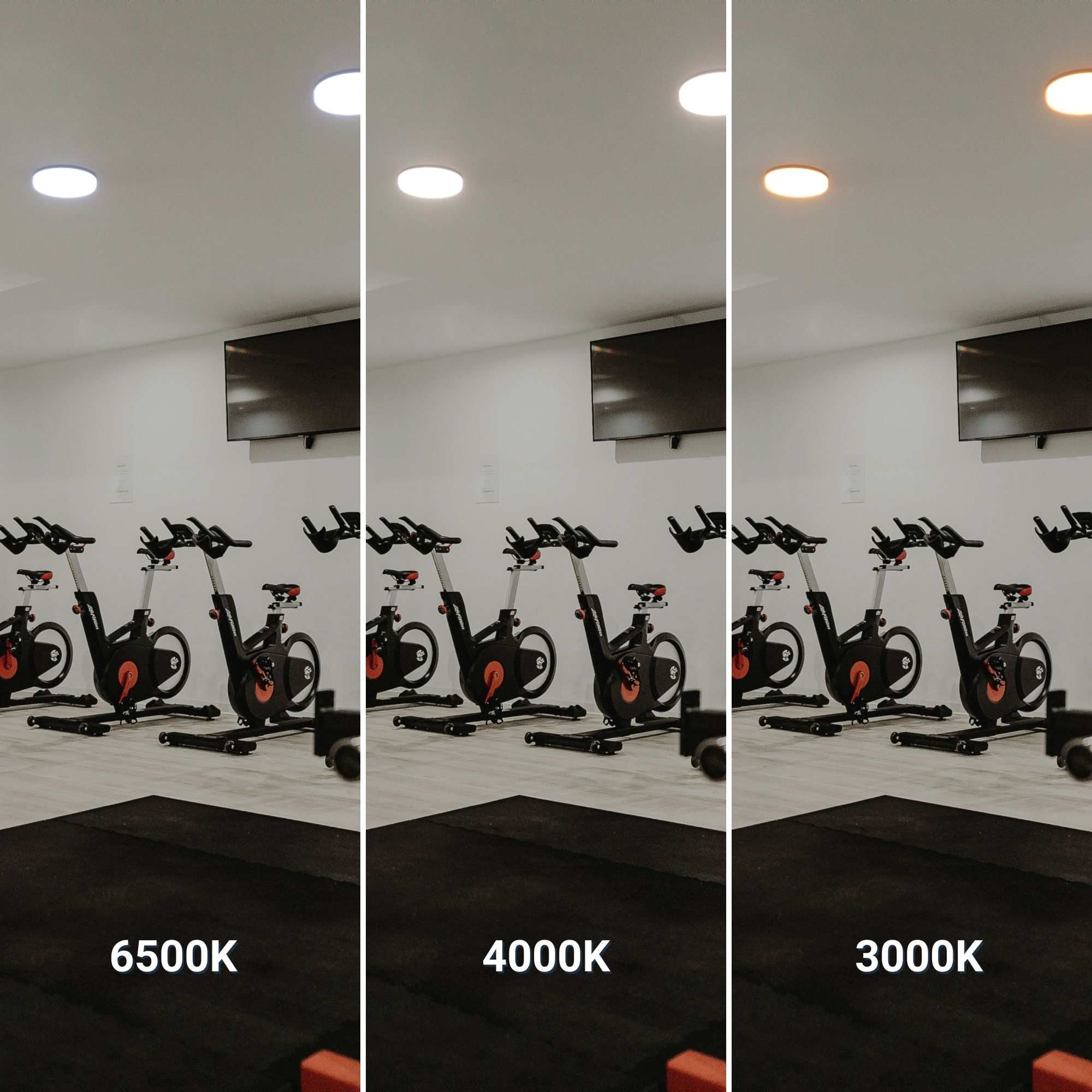 Plafón LED estanco CCT con sensor de movimiento por microondas - 24W - Ø28cm - IP65 (19)