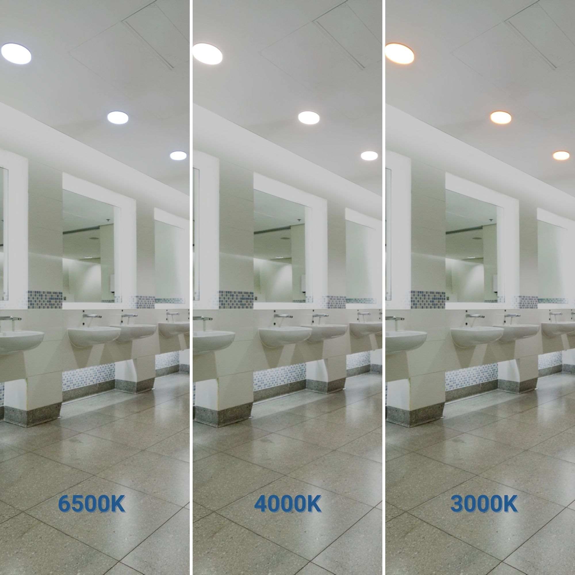 Plafón LED estanco CCT con sensor de movimiento por microondas - 24W - Ø28cm - IP65 (20)