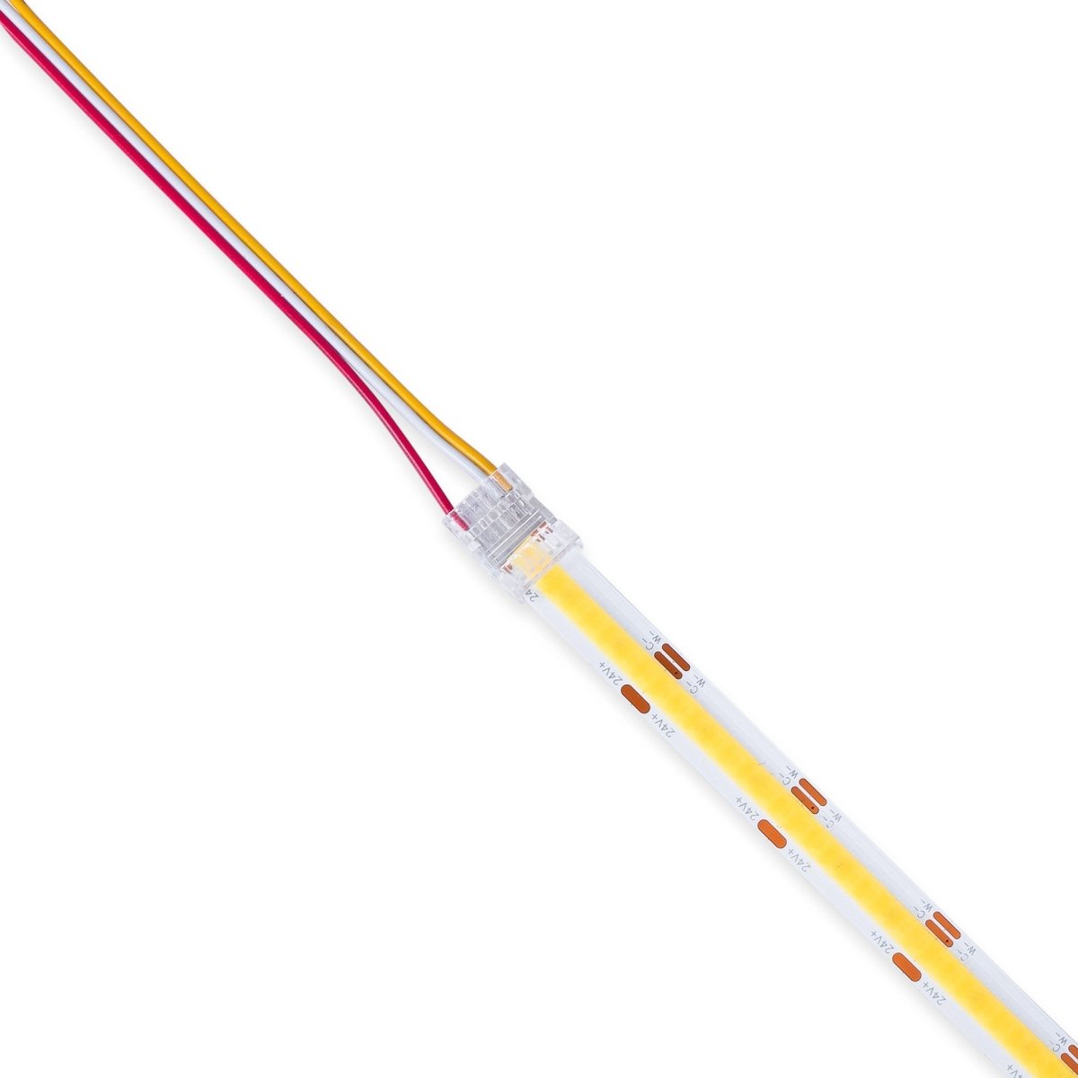 Conector Hippo CCT COB Tira a controlador - PCB 10mm - 3 pines - IP20 - Máx. 24V - Barcelona Led-Accesorios