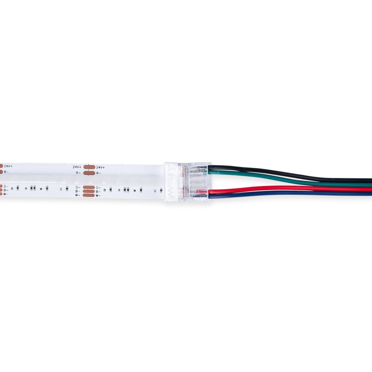 Conector Hippo Tira RGB COB a Cable - PCB 12mm - 4 pines - IP20 - Máx. 24V - Barcelona Led-Accesorios