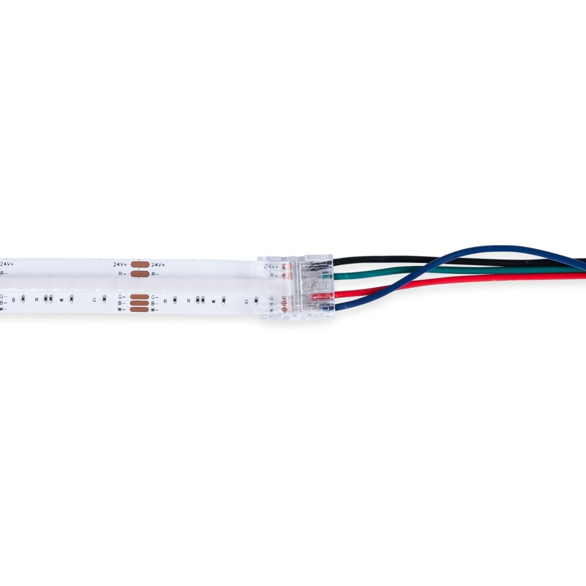 Conector Hippo Tira RGB COB a Cable - PCB 12mm - 4 pines - IP20 - Máx. 24V - Barcelona Led-Accesorios
