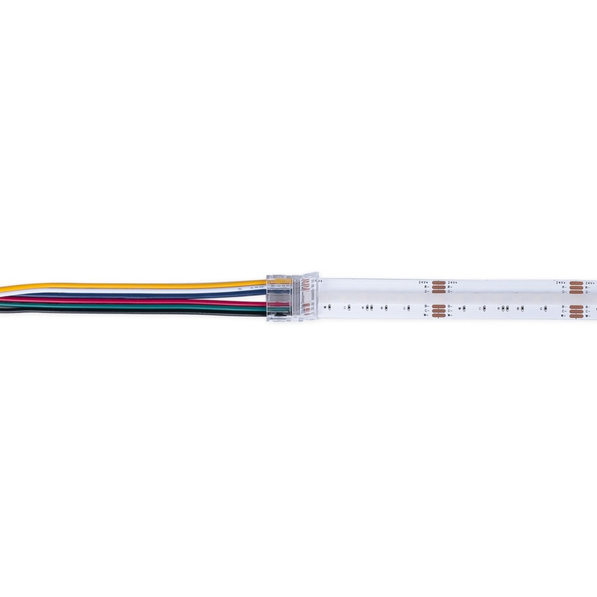 Conector Hippo RGB + CCT COB Tira a Controlador - PCB 12mm - 6 pines - IP20 - Máx. 24V - Barcelona Led-Accesorios