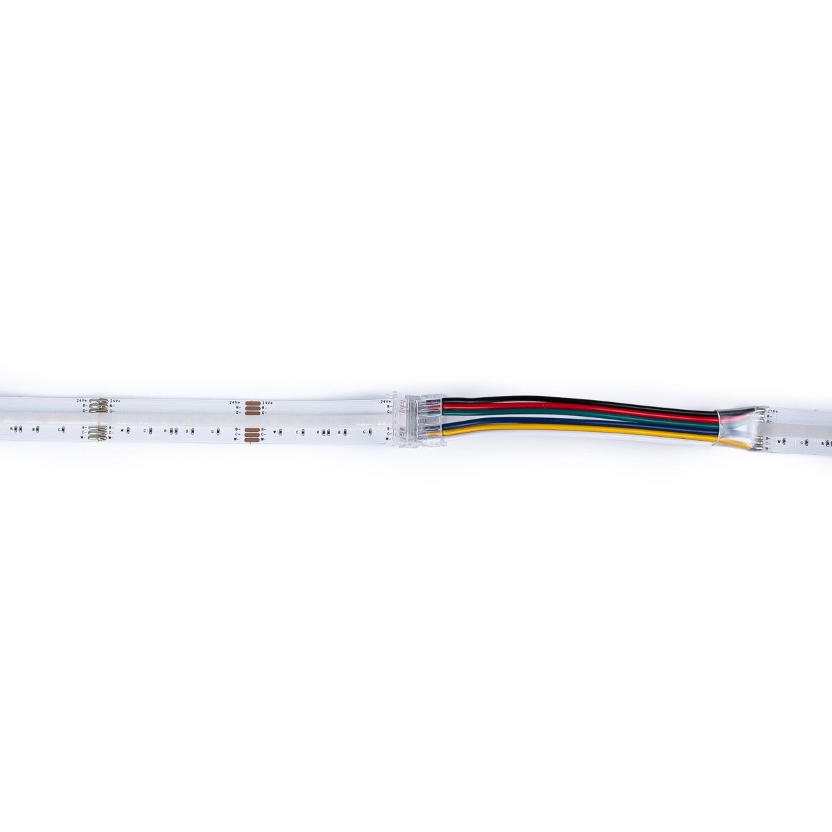 Conector Hippo RGB + CCT COB Tira a Cable - PCB 12mm - 6 pines - IP20 - Máx. 24V - Barcelona Led-Accesorios