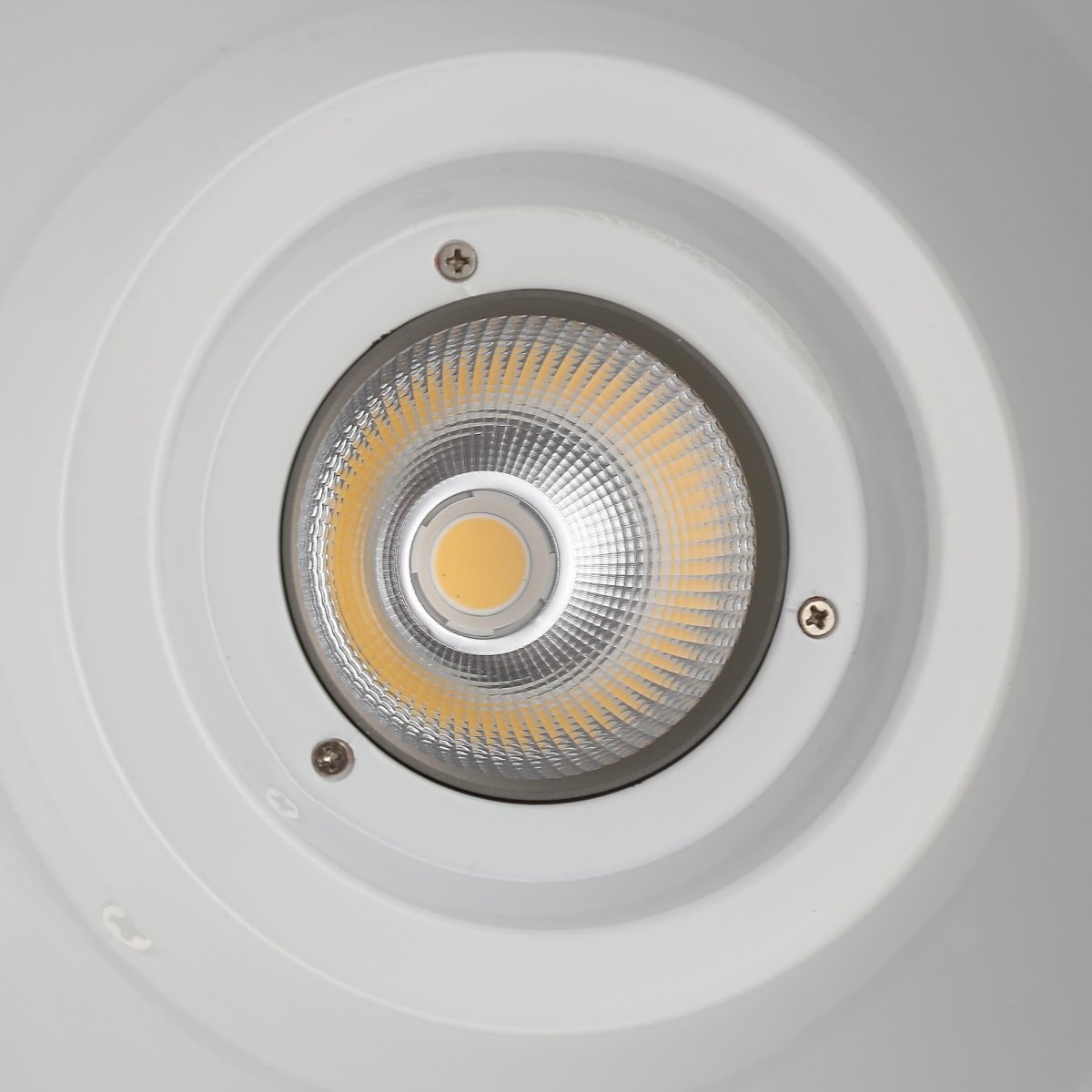 Campana LED 36W especial para carnicerías - Driver KeGu - Barcelona Led-